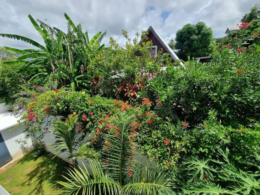 Villa Fleur De Coco - 8P. - Piscine Privee - Haut Standing サン・ピエール エクステリア 写真
