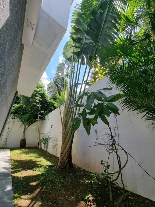 Villa Fleur De Coco - 8P. - Piscine Privee - Haut Standing サン・ピエール エクステリア 写真